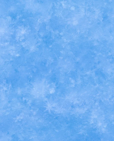 Schöner Schnee aus echten Schneeflocken — Stockfoto
