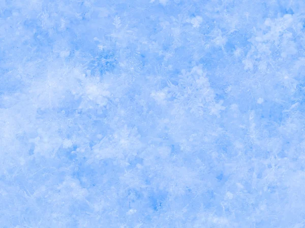 Snow from real snowflakes — Stock Photo, Image