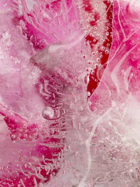Incomum rosa orgânico Captação de gelo — Fotografia de Stock