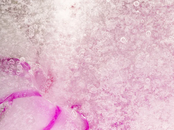 Abstracción con hielo rosa — Foto de Stock