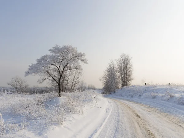 Il freddo inverno nella regione di Mosca — Foto Stock