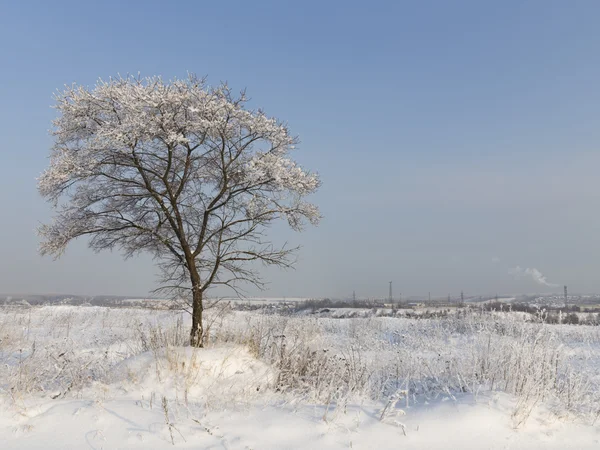 Inverno nella Regione di Mosca, Russia — Foto Stock