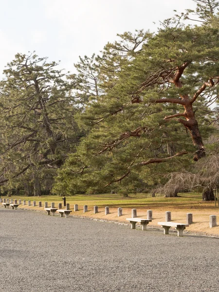 Il bellissimo parco con panchine — Foto Stock