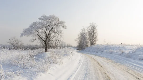 Inverno nella Regione di Mosca — Foto Stock