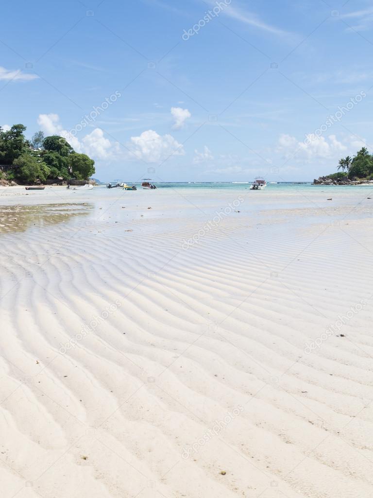 eautiful sea beach landscape with the tide