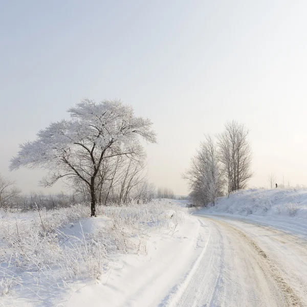 Paesaggio invernale della regione di Mosca — Foto Stock