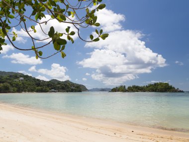 güzel deniz plaj manzara Afrika