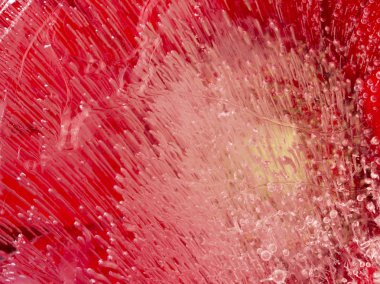 parlak kırmızı kırılgan organik soyutlama