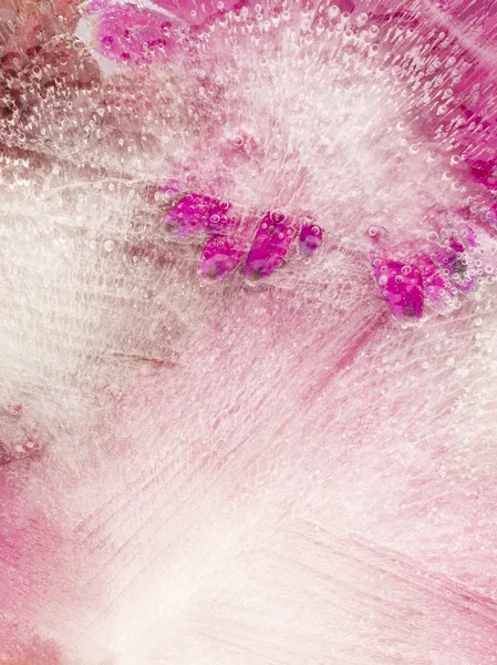 Vertical abstract flowers in ice — Stock Photo, Image