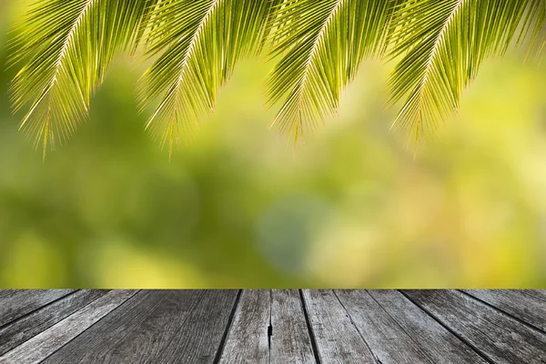 Tropische kokosnoot blad frame voor zomer achtergrond — Stockfoto
