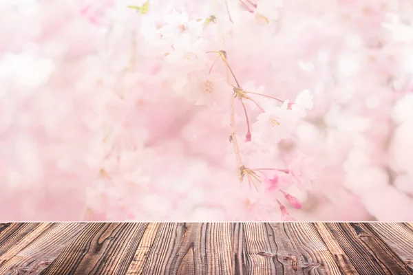 抽象模糊粉红色樱桃花 — 图库照片
