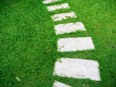 Taş kaldırım çimenlerin üzerinde