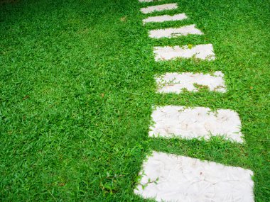 Taş kaldırım çimenlerin üzerinde