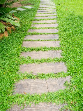 Taş kaldırım yeşil çim zemin