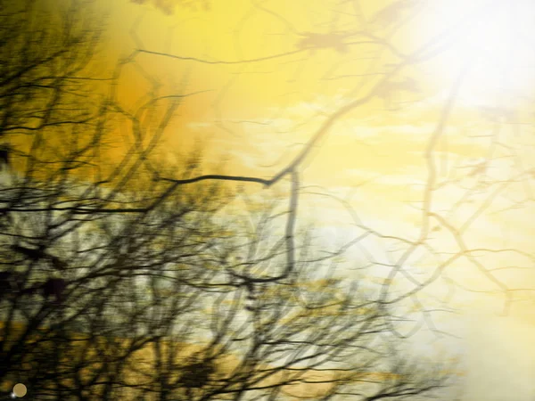 Abstrakte Bewegungsunschärfe Baumzweig mit warmem Filter für Hintergrund — Stockfoto