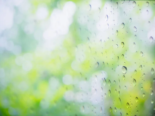 Green natural abstract background with raindrop — Stock Photo, Image