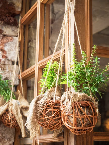 Vintage stil blomma hängande i glasfönstret — Stockfoto