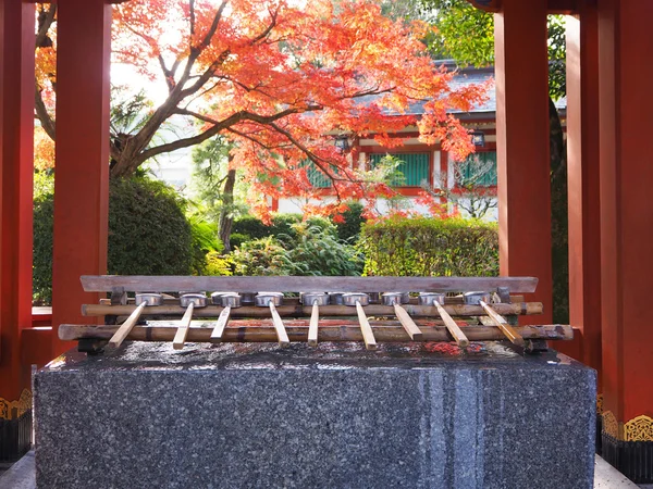 Santuário de Yutoku no outono — Fotografia de Stock