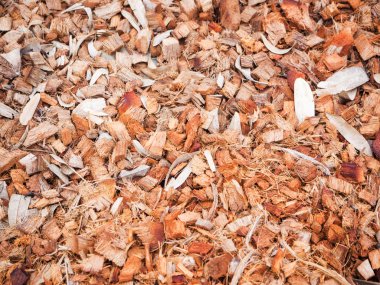 Patterns of coconut fiber for soil fertilizer clipart