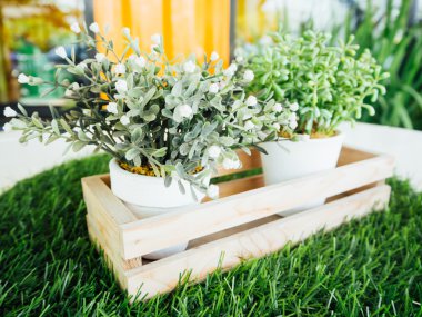 İki küçük pot dekorasyon bahçe içinde ağaç