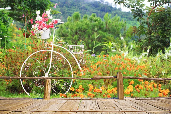 在早春开花的美丽花园露台观点出发 — 图库照片