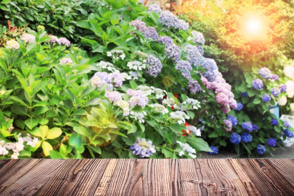 Placa vacía de madera con flores de hortensia de color fondo borroso —  Fotos de Stock
