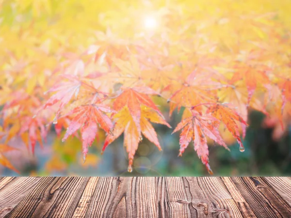 Autumn maple blur background with wood plank — Stock Photo, Image