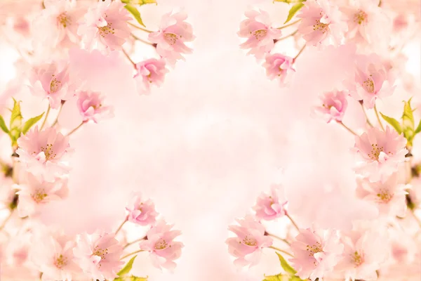 Abstract pink flower background — Stock Photo, Image