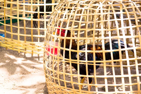 Thai bamboo coop — Stockfoto