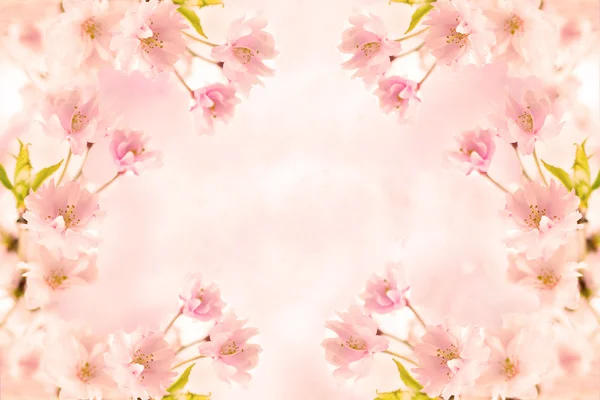 Abstraktní růžové květinové pozadí Royalty Free Stock Obrázky