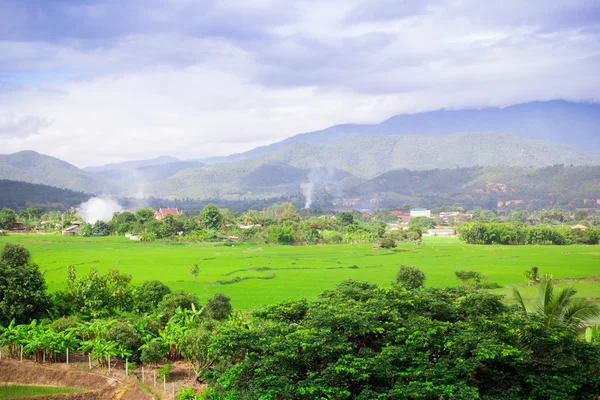 Natural landscape view rice filed on mountain — Stock Photo, Image