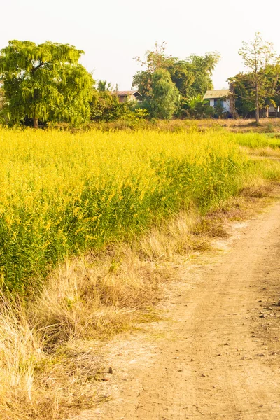 Countryside road way in Thailand — Stock Photo, Image