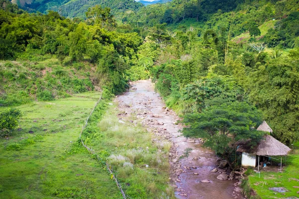 Groene bossen in Thailand — Stockfoto