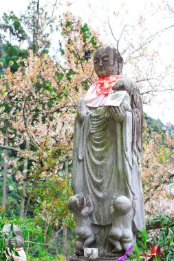 Nara 'daki eski tapınakta bahar mevsimi,' Hasedera '