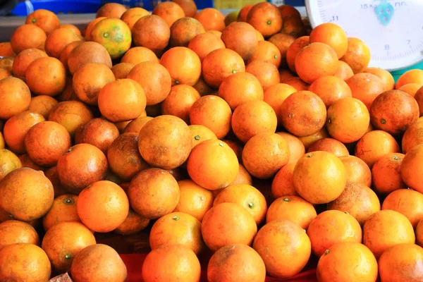 Orangenplantage in Chiangmai Thailand — Stockfoto