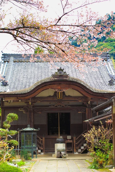 Vårplats i Nara vid det antika templet, "Hasedera" — Stockfoto