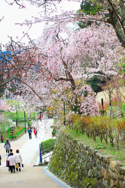 Punto primaverile a Nara presso l'antico tempio, 'Hasedera' — Foto Stock