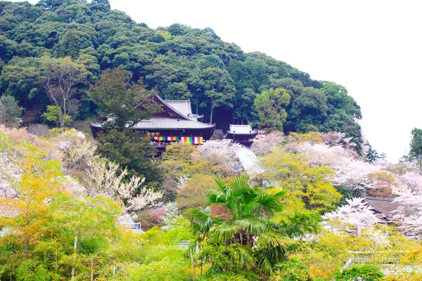 Spring spot in Nara at the ancient temple, 'Hasedera' — Stock Photo, Image