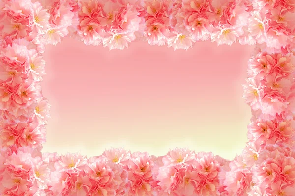 Marco de sakura rosa dulce abstracto para fondo de boda — Foto de Stock