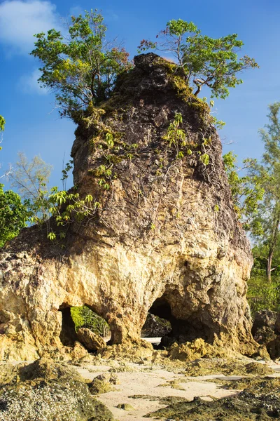 Sahilde doğal kaya — Stok fotoğraf