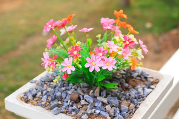 Blomst i hagen – stockfoto