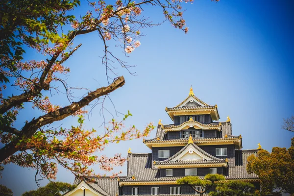 Okayama kasteel — Stockfoto