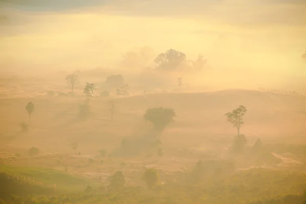 Naturliga sceneof solen stiga med oklar dimmig — Stockfoto