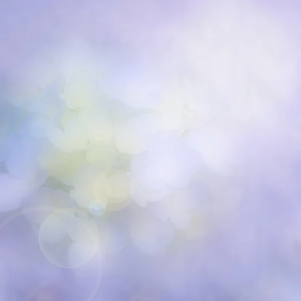 Abstract Blur style of Blue Htdrangea — Stock Photo, Image
