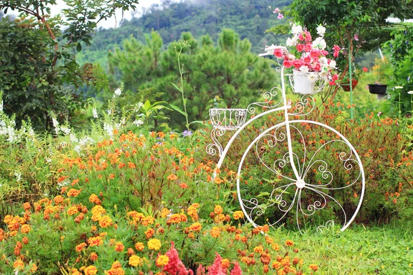 Flower white bicycle — Stock Photo, Image