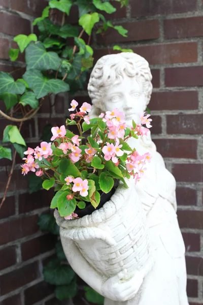 Pot suspendu de fleurs sur le mur de briques — Photo