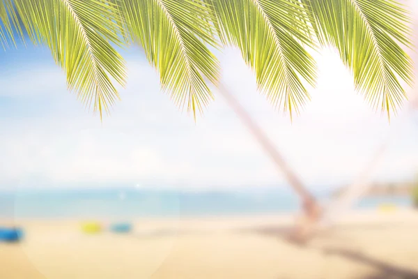 Abstract blur and soft background of sea sand beach with coconut leave frame — Stock Photo, Image