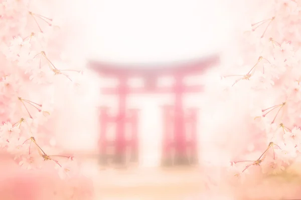 Desenfoque abstracto y suave flor de cerezo en backgorund primavera con Torii gigante en Hiroshima, Japón — Foto de Stock