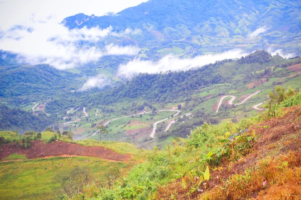 Liggande utsikt över dimmiga havet på bergen på Phu badkar Berg, provinsen Petchabun, Thailand — Stockfoto