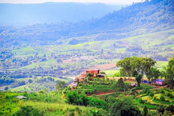 Bir tepe ile yeşil orman Kao Kho, Petchabun Eyaleti, Tayland